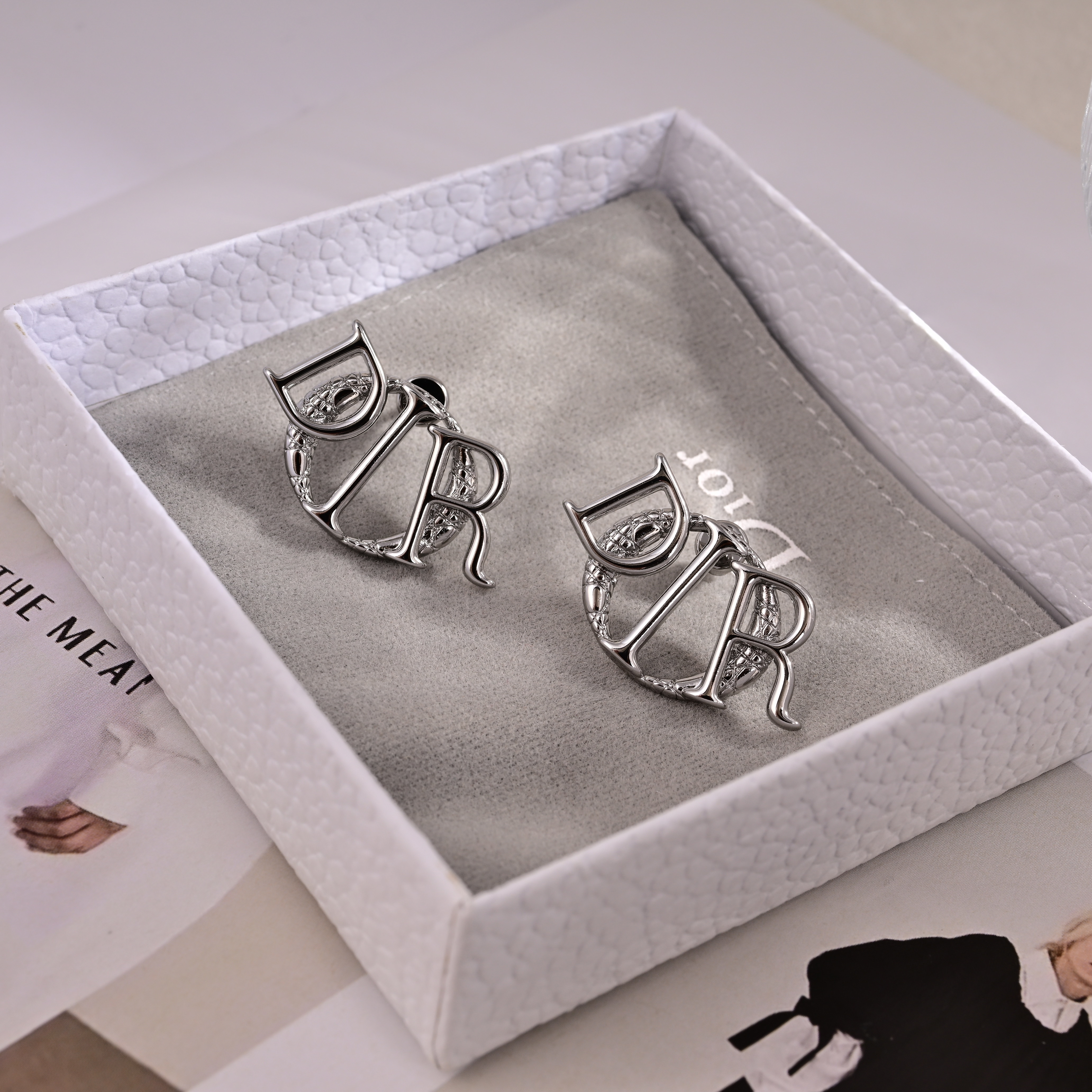 TOP Christian Dior Earrings - Sliver
