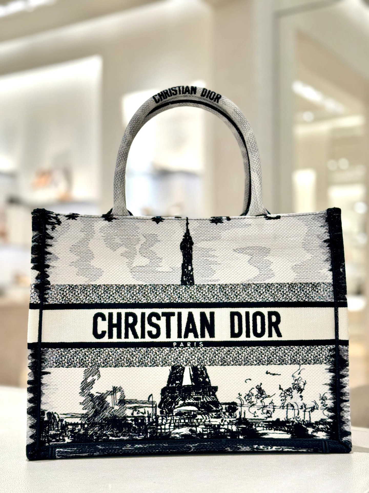 TOP Christian Dior The Paris Tower Series Book Tote Bags 36*18*28cm - 3 Colors