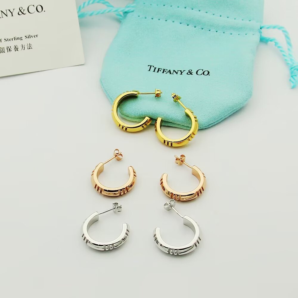 TOP Tiffany & Co. Earrings - 3 Colors