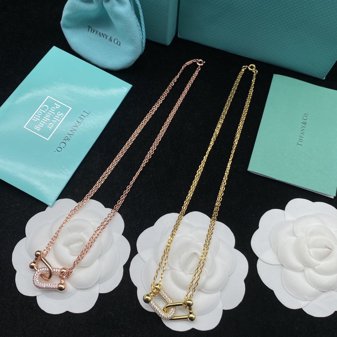TOP Tiffany & Co. Lock Necklace - 2 Color