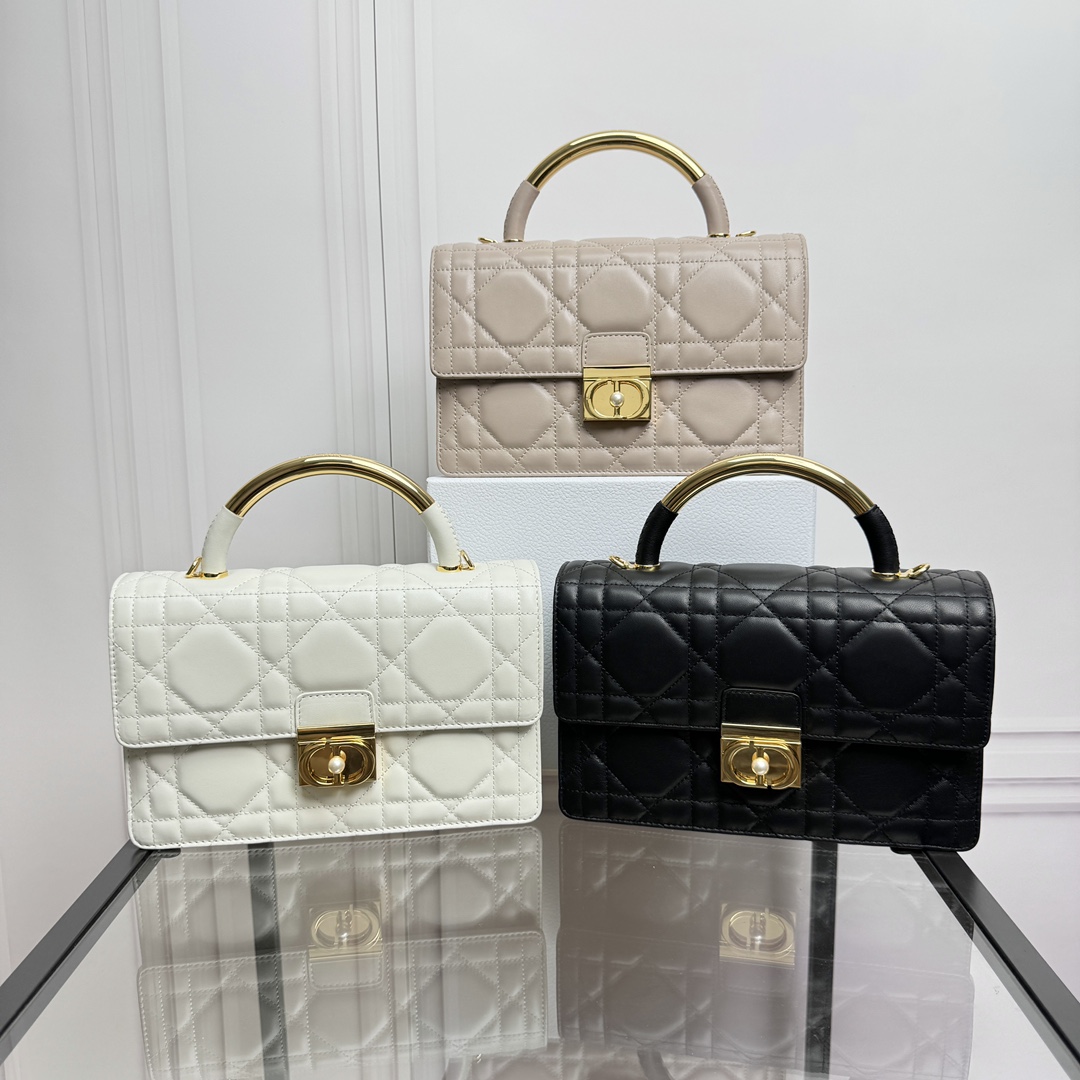 TOP Christian Dior Ange Bag 20x12x5cm/25x16x8cm - 3 Color