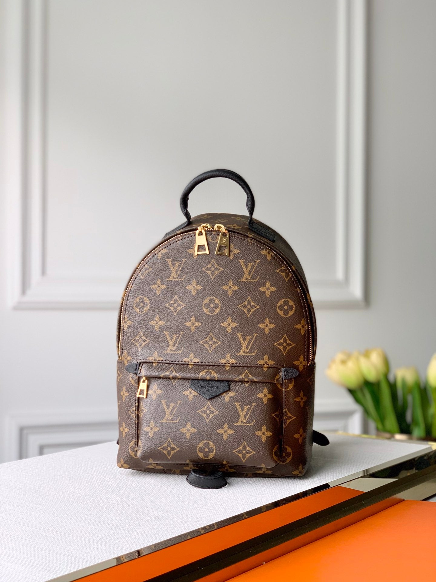 TOP Louis Vuitton LV Palm Sping Monogram Backpack 22 x 29 x 10cm- PM