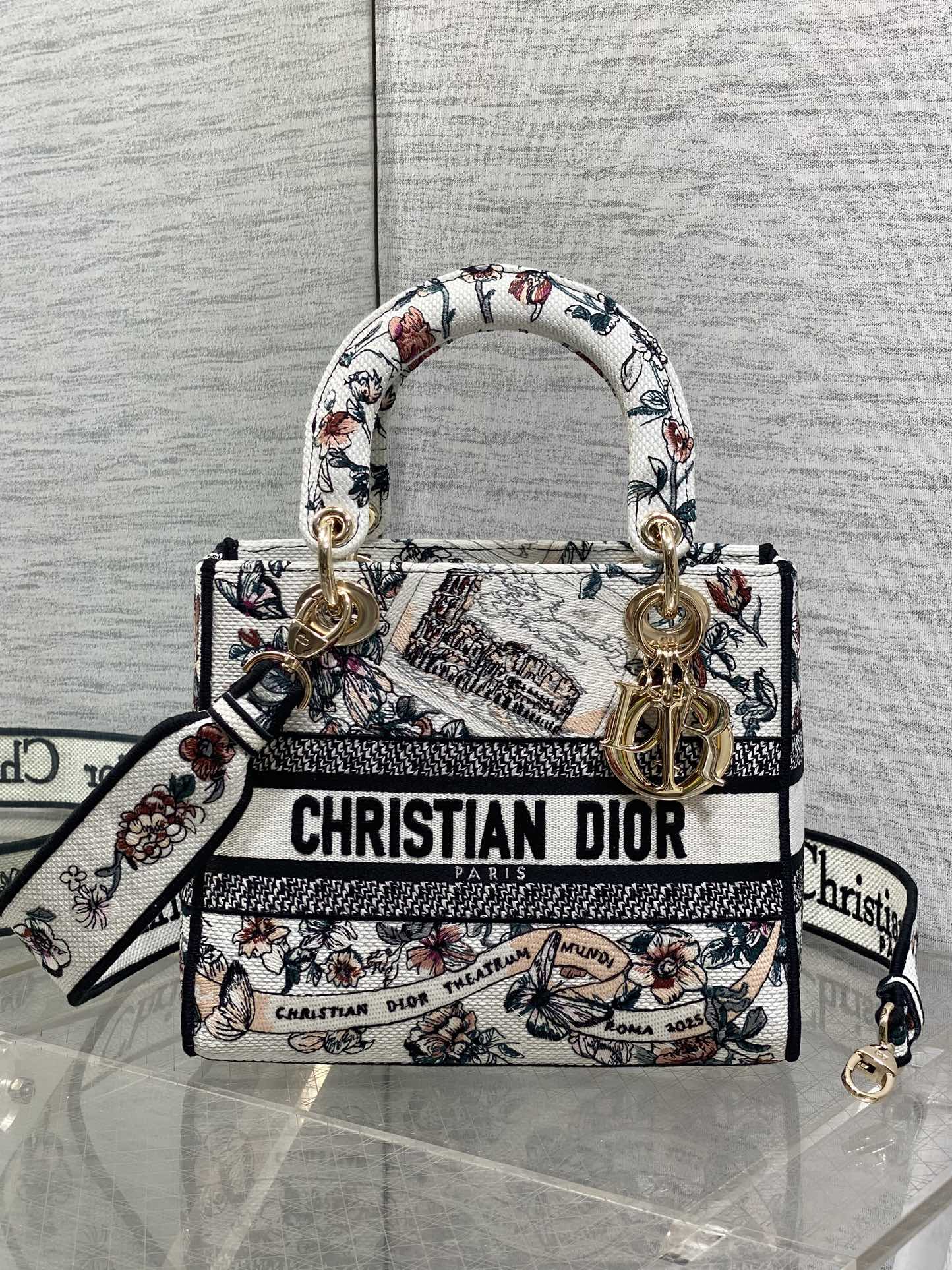 TOP Christian Dior Souvenirde Rome Embroidered Lady D-Lite Bag 24x11x20cm - White