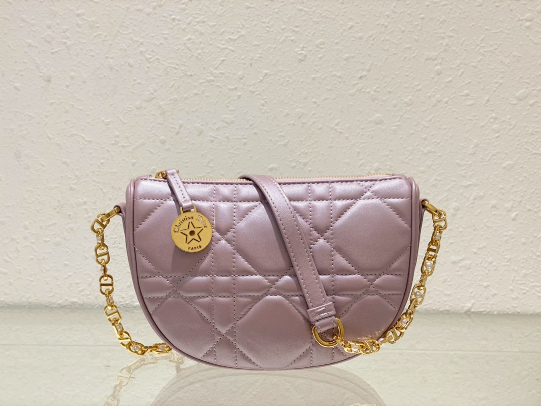 TOP Christian Dior Lambskin Callisto Chain Handbags 20x14x4cm - Black/Pearlescent Powder - GHW