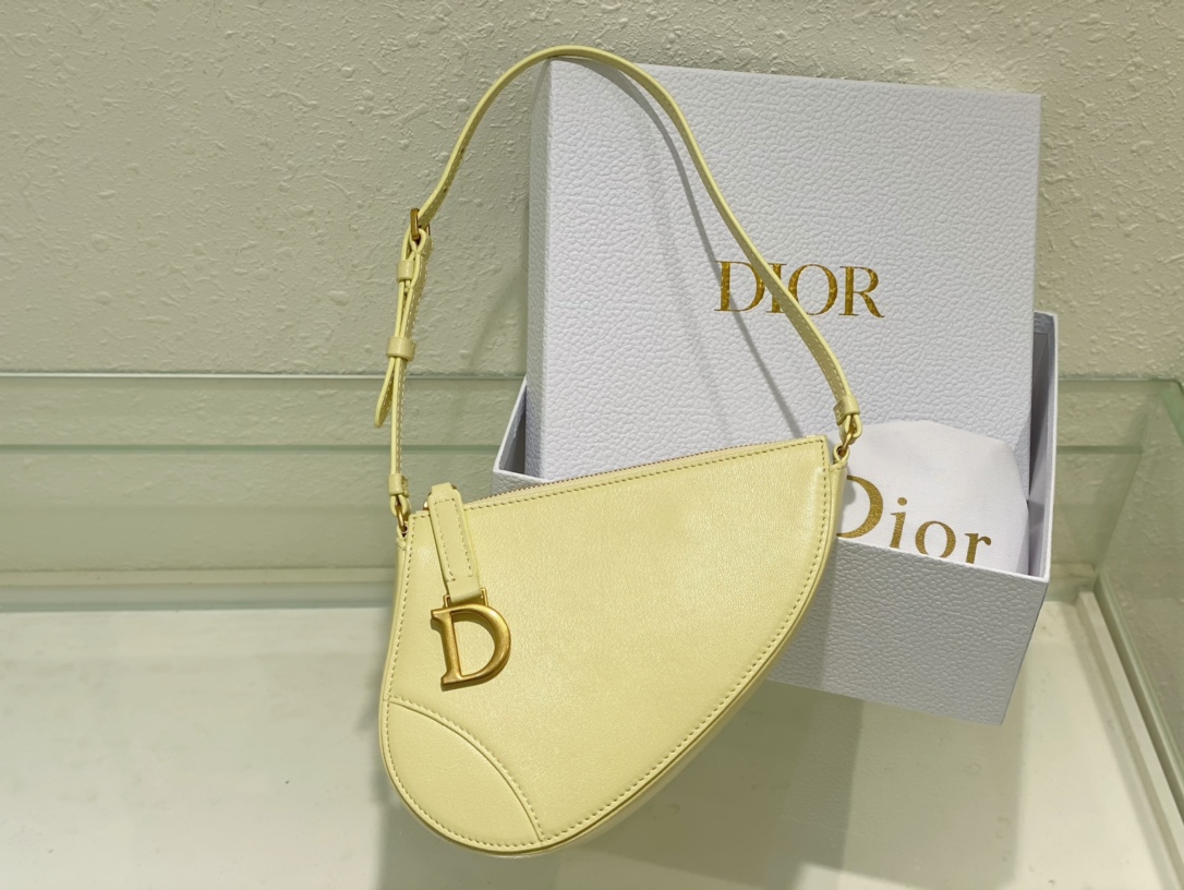 TOP Christian Dior Lambskin Leather Saddle Bags - 20x15x4cm - 4 Colors