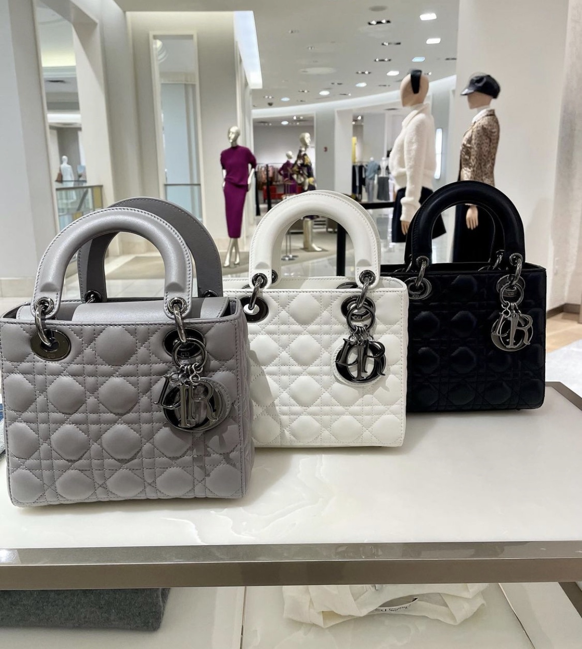 TOP Christian Dior Lady's Latest Gun Color Hardware Series Bags 20cm - 3 Colors
