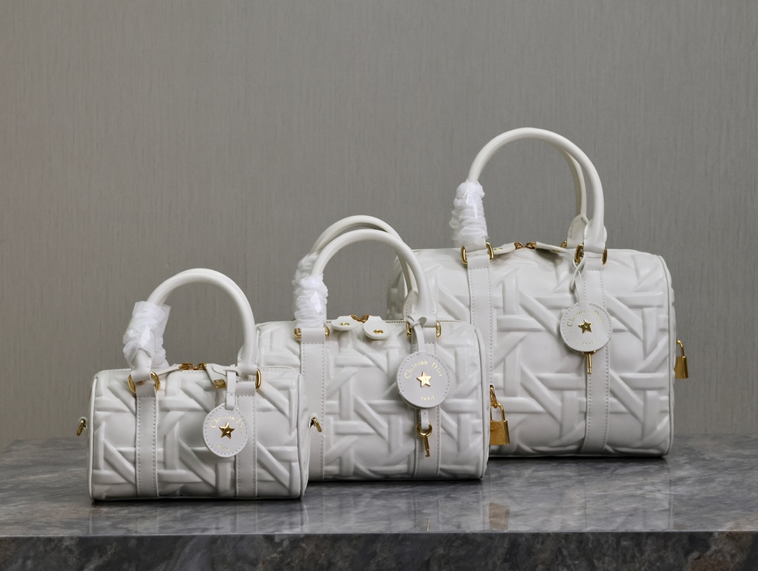 TOP Christian Dior Groove 25 Bag 3 Sizes16cm/20.5cm/25cm - 2 Colors