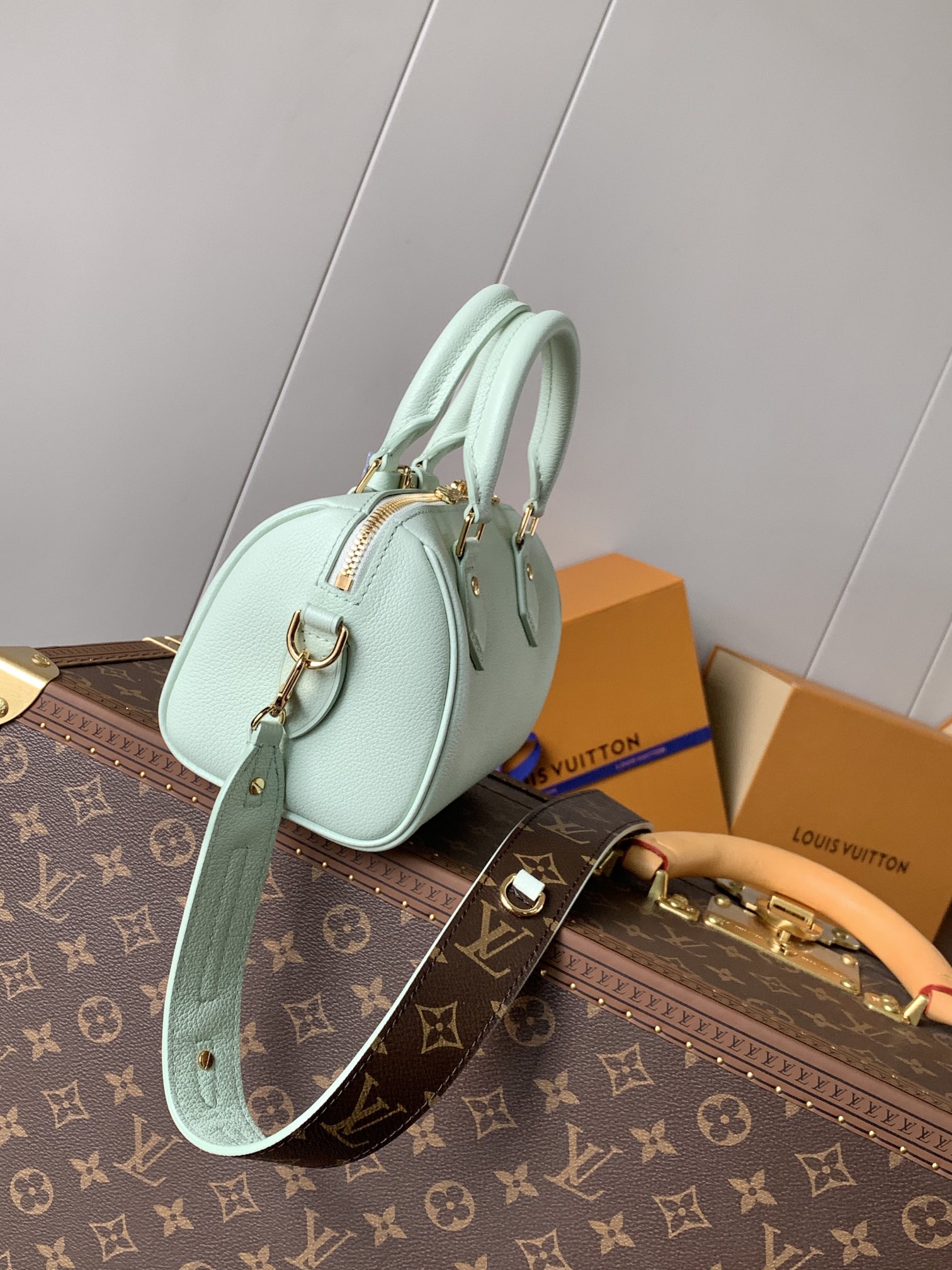 TOP Louis Vuitton LV Speedy 18 Bag 18x12.5x11cm - 2 Color