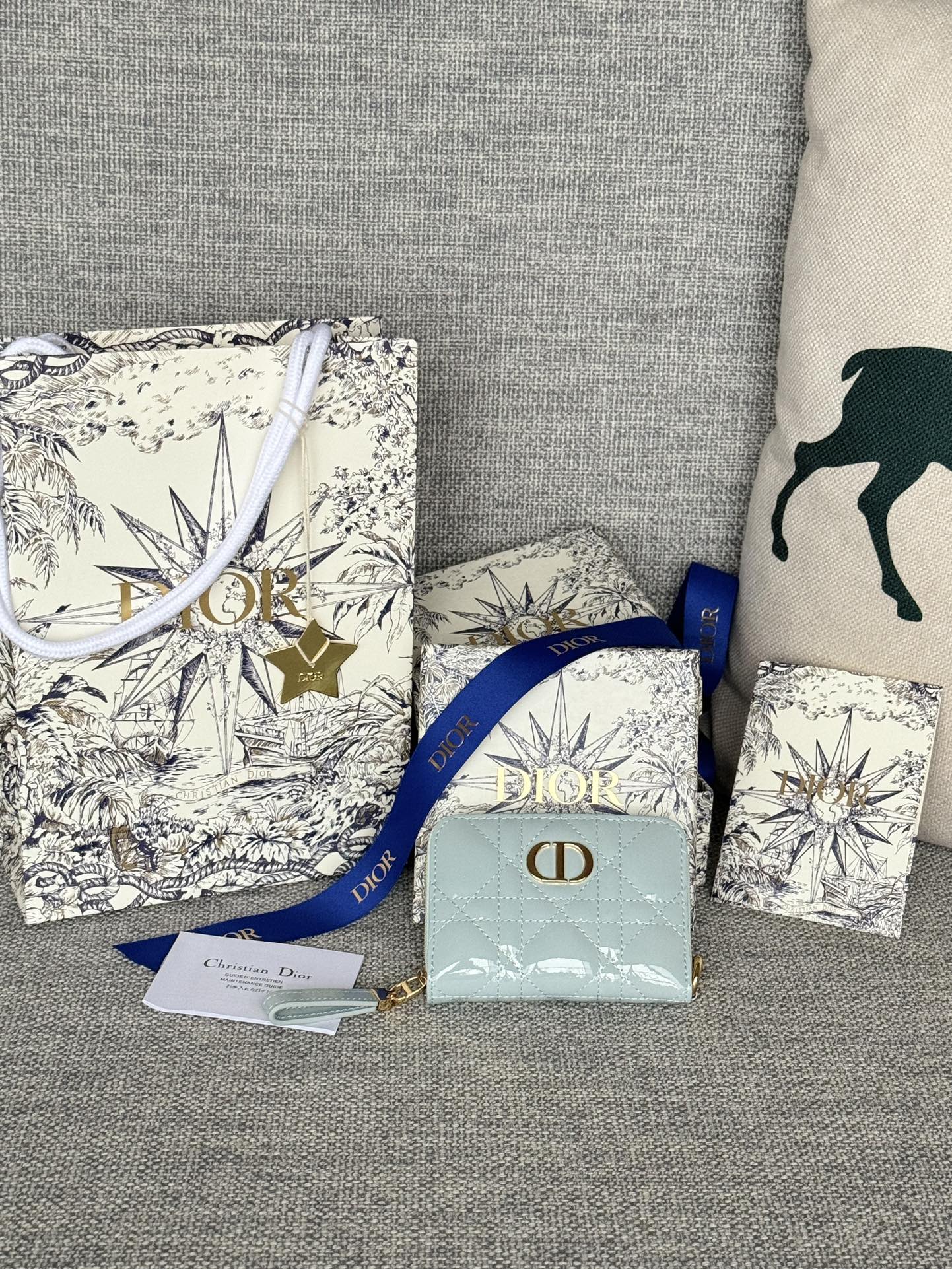 TOP Christian Dior Card Bags - 9 Colors