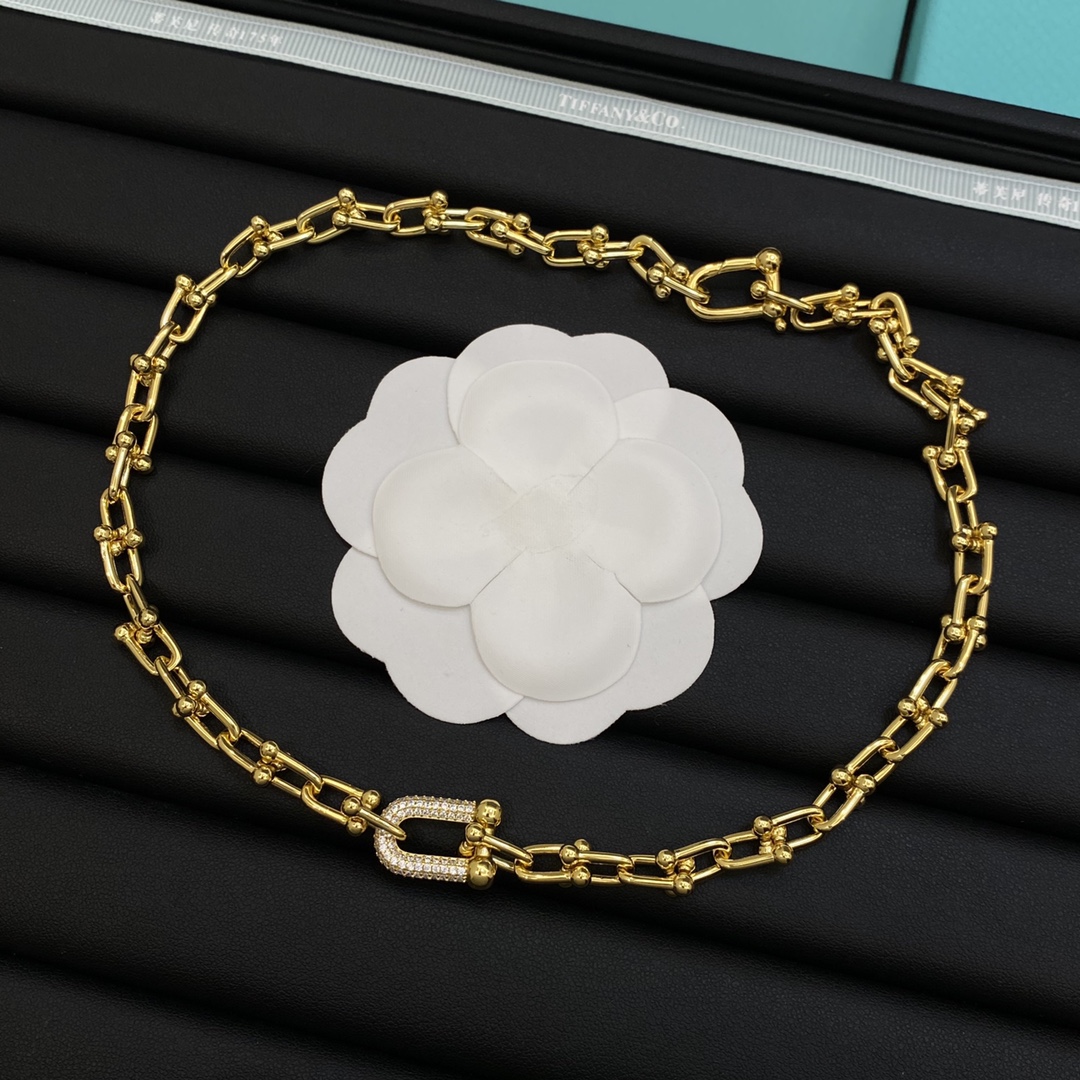 TOP Tiffany & Co. Lock Necklace - 2 Color