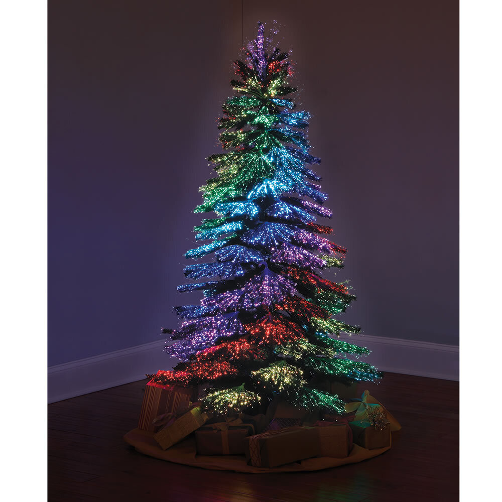 The Thousand Points of Light Tree