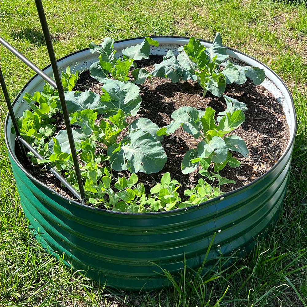 17'' Tall 42'' Round Metal Raised Garden Beds