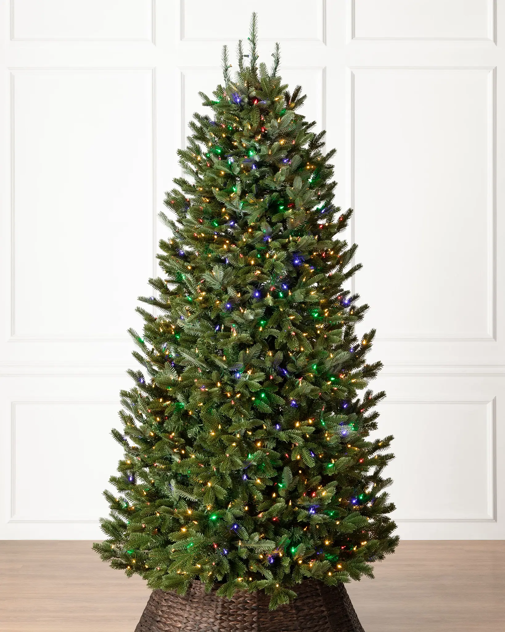 BH Fraser Fir® Narrow Tree