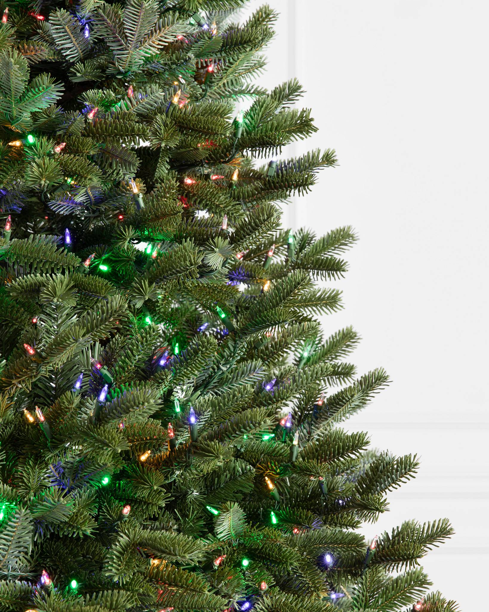 BH Fraser Fir® Tree