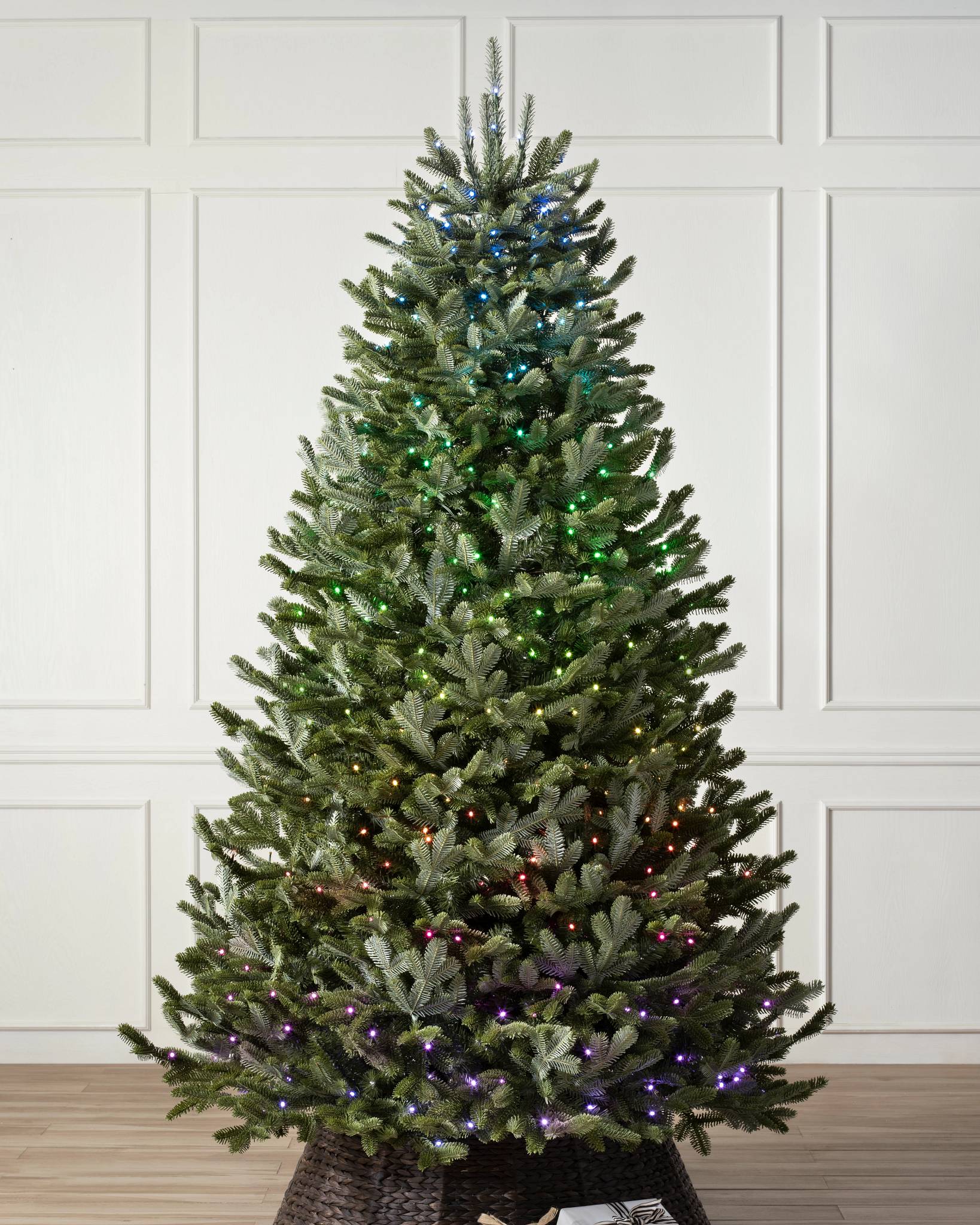 BH Fraser Fir® Tree