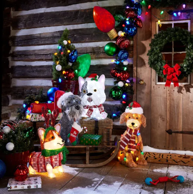 Holiday Living 27-in LED Fluffy Doodle with Light String