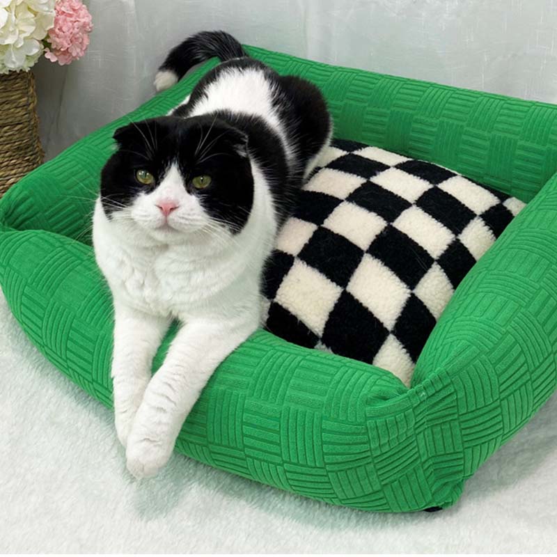 Colour Clash Checkerboard Dog & Cat Bed