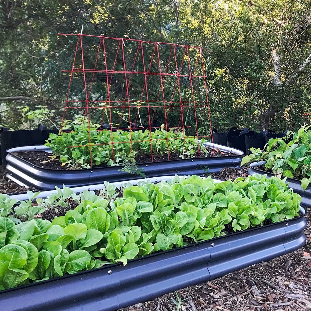 8'' Tall 8'x2' Metal Raised Garden Beds (9 in 1)