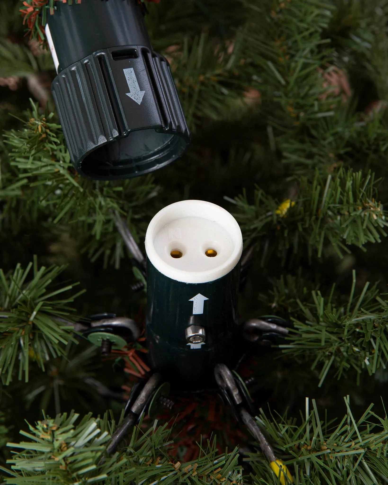 🎄Christmas Special Offer! ✨