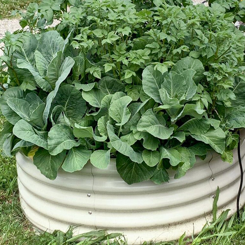 17'' Tall 42'' Round Metal Raised Garden Beds