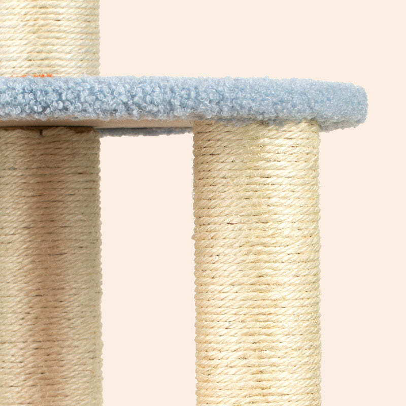 ❤️The Best Gift For Your Cats