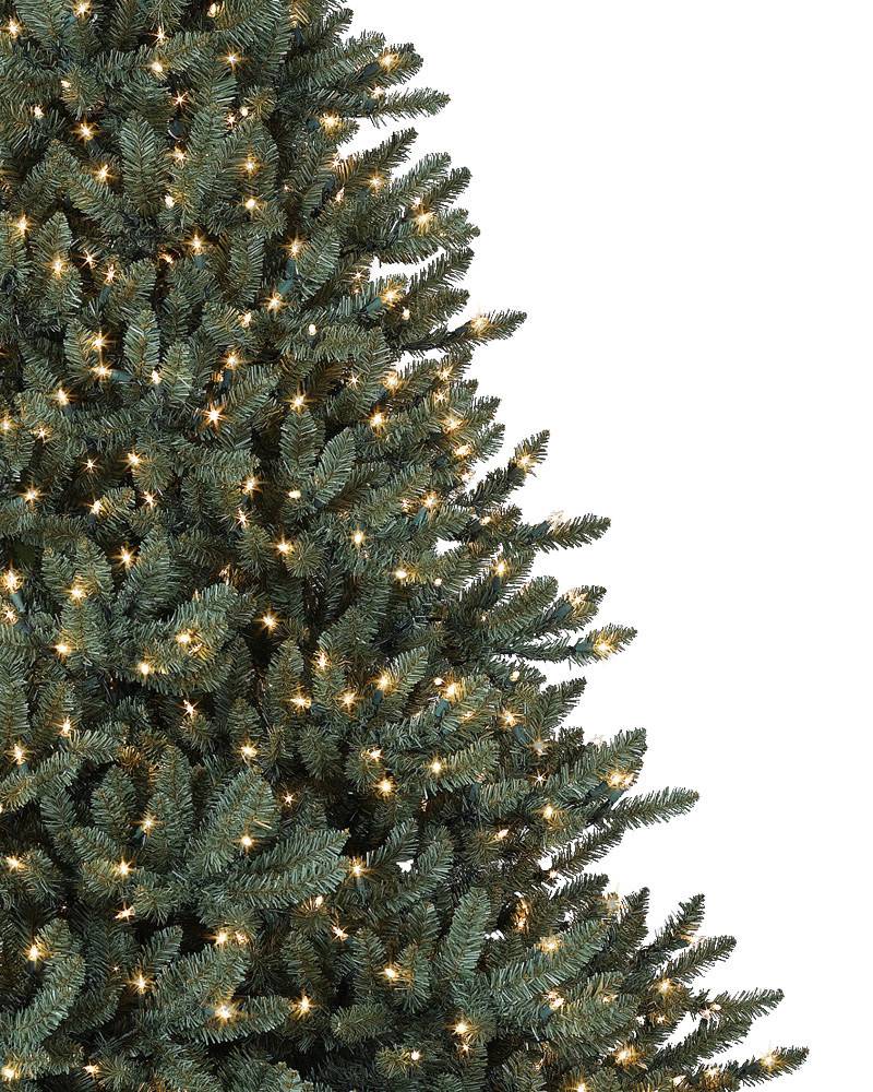 Classic Blue Spruce®