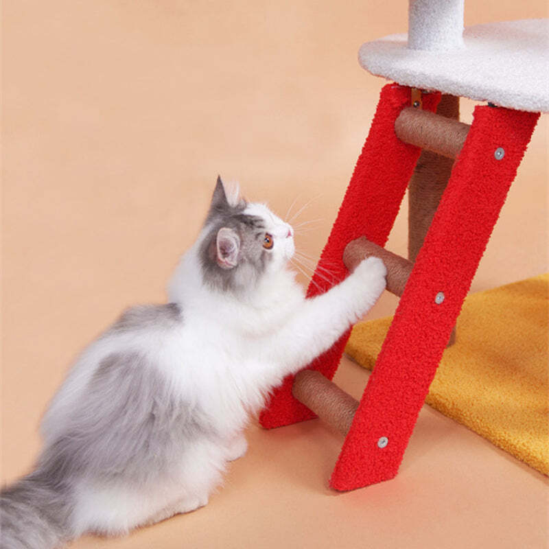 ❤️The Best Gift For Your Cats