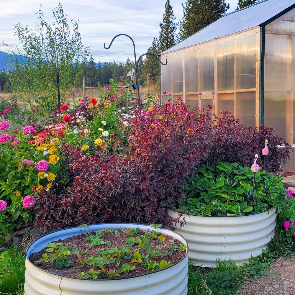 17'' Tall 42'' Round Metal Raised Garden Beds