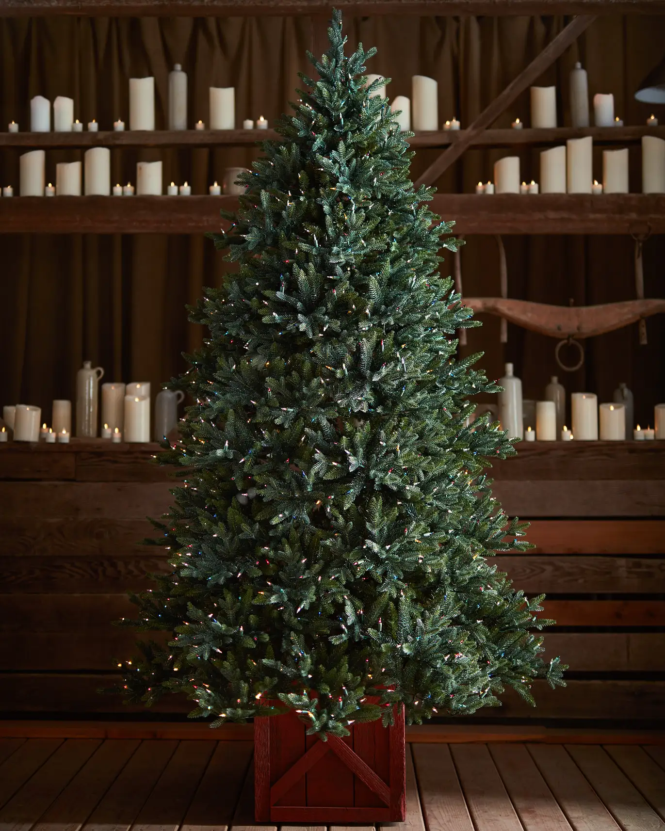 Colorado Mountain Spruce®