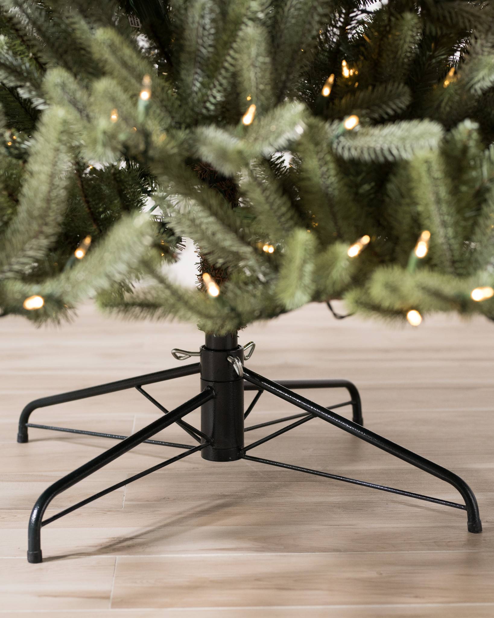 Sanibel Spruce® Tree