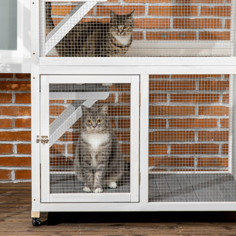 Crisey Outdoor Cat cage