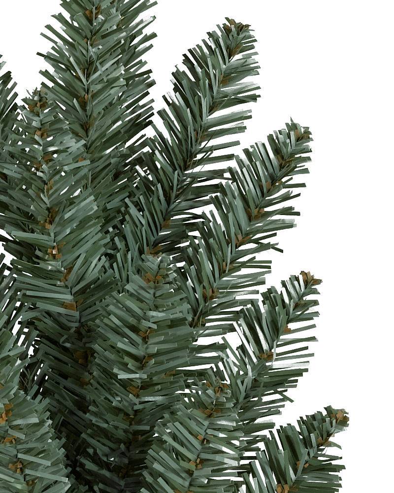 Classic Blue Spruce®