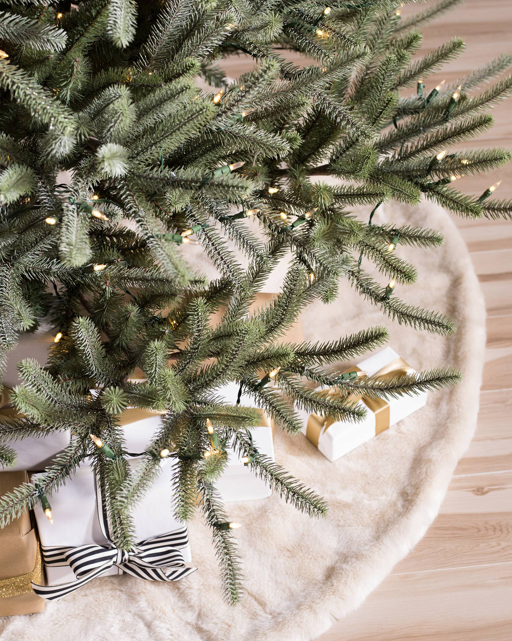 Sanibel Spruce® Tree