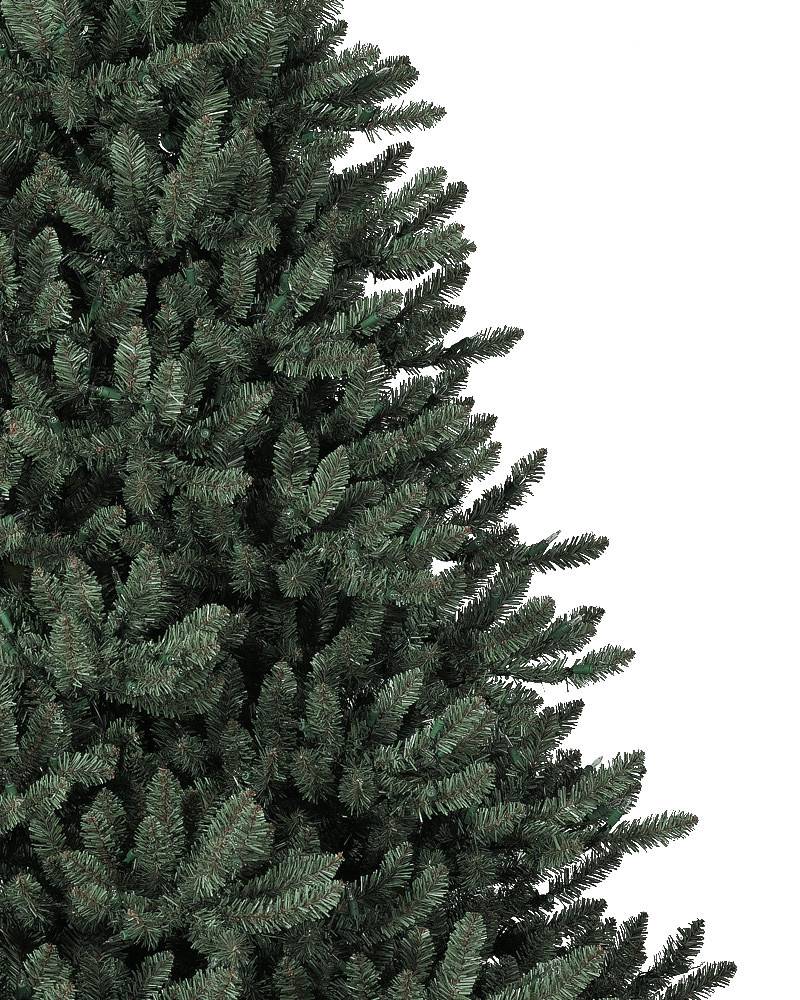 Classic Blue Spruce®