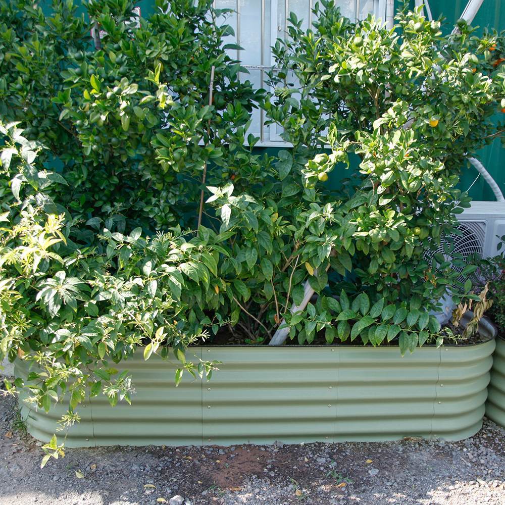 17'' Tall 6.5'x2' Metal Raised Garden Beds (6 in 1)