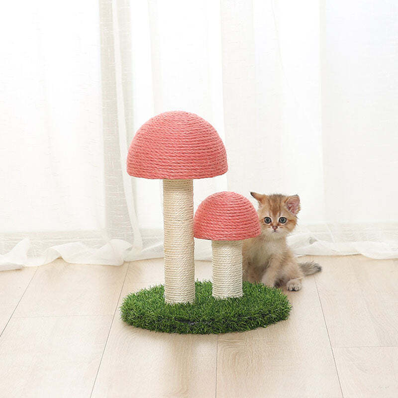 ❤️The Best Gift For Your Cats