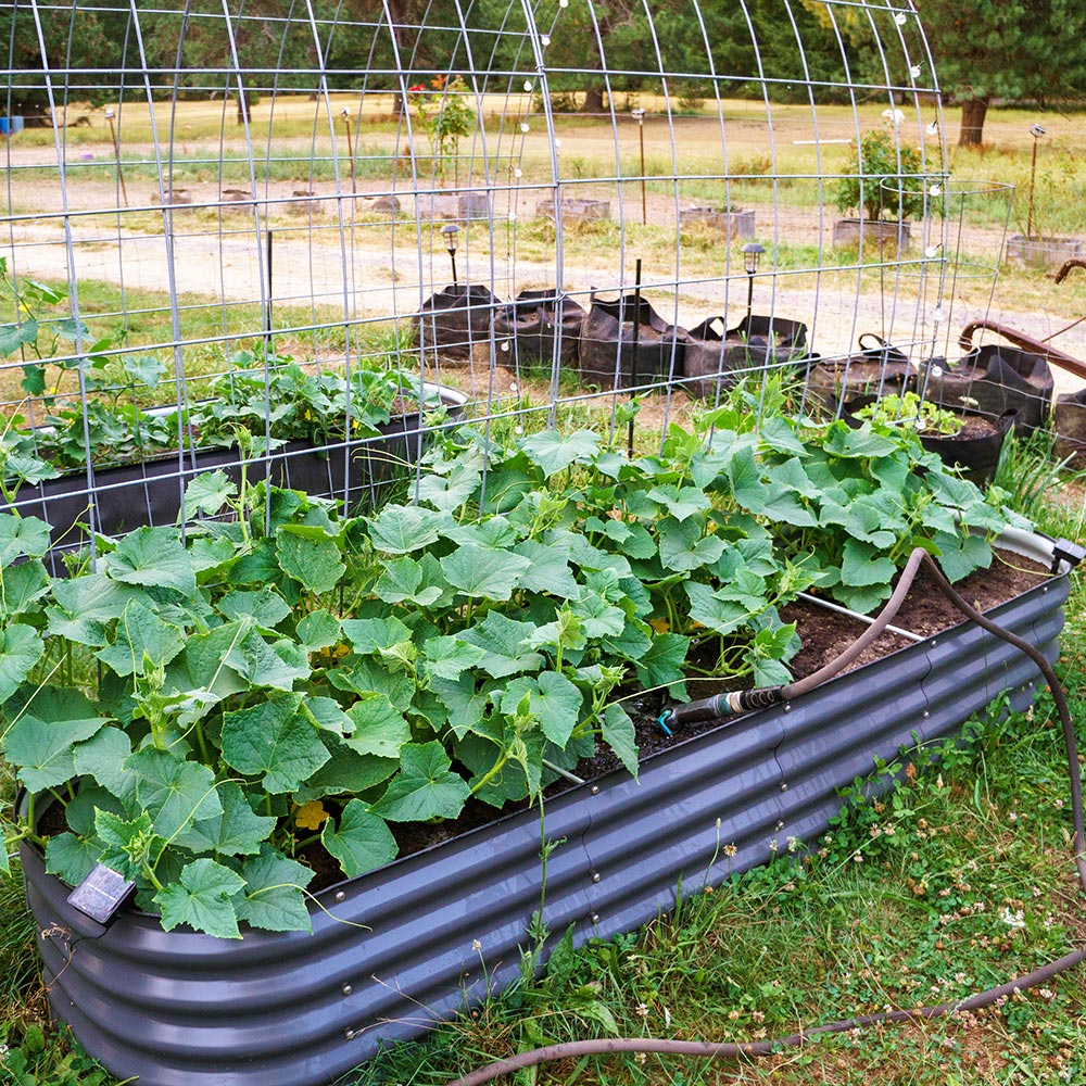 17'' Tall 8'x2' Metal Raised Garden Beds (9 in 1)