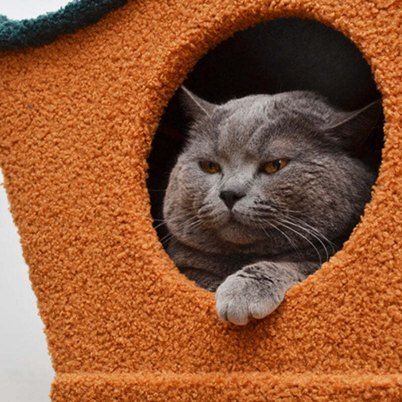 ❤️The Best Gift For Your Cats