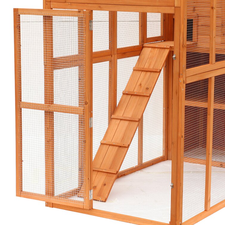 Esquina Outdoor Enclosure Ramp and Main Cat Cage