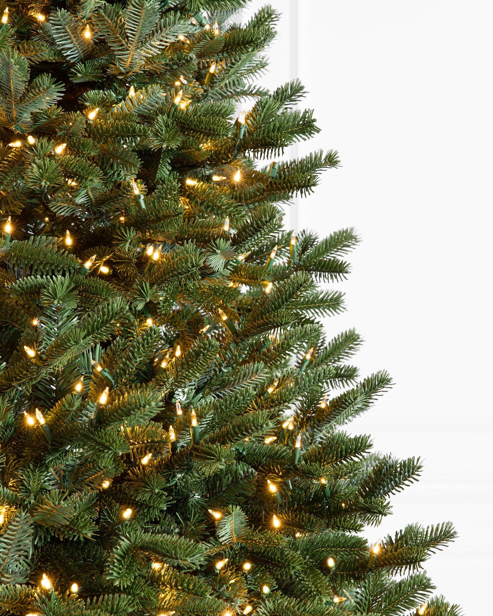 BH Fraser Fir® Tree