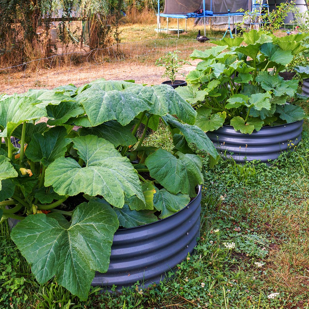 17'' Tall 42'' Round Metal Raised Garden Beds