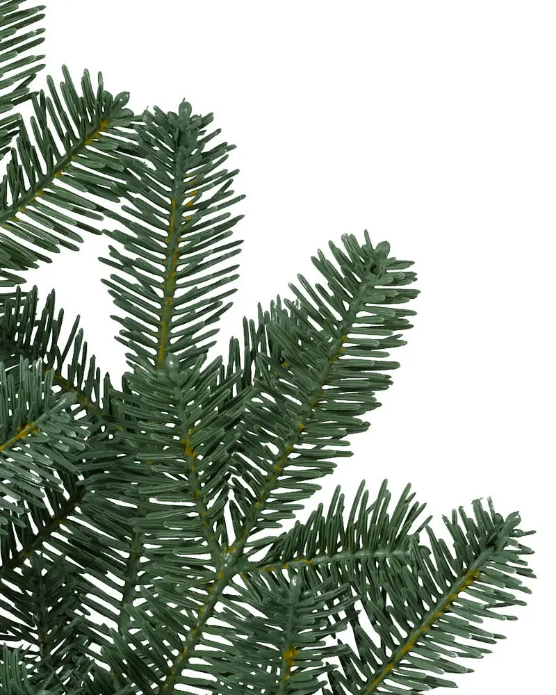 BH Balsam Fir® Narrow Tree