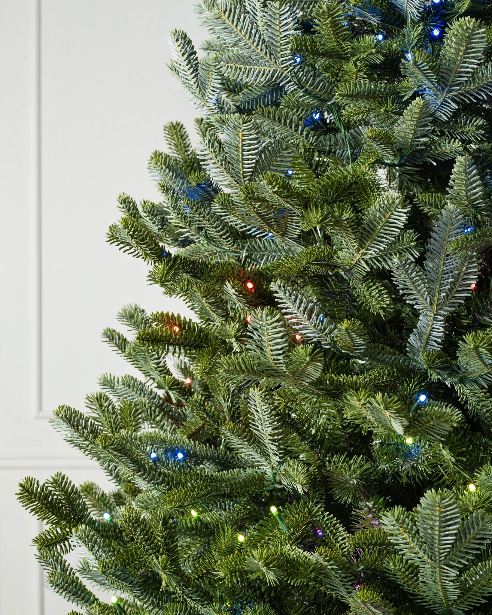 BH Fraser Fir® Tree