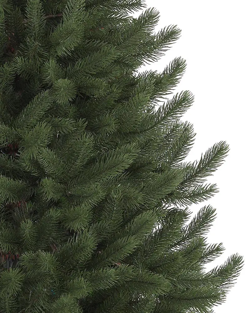 Vermont White Spruce® Narrow