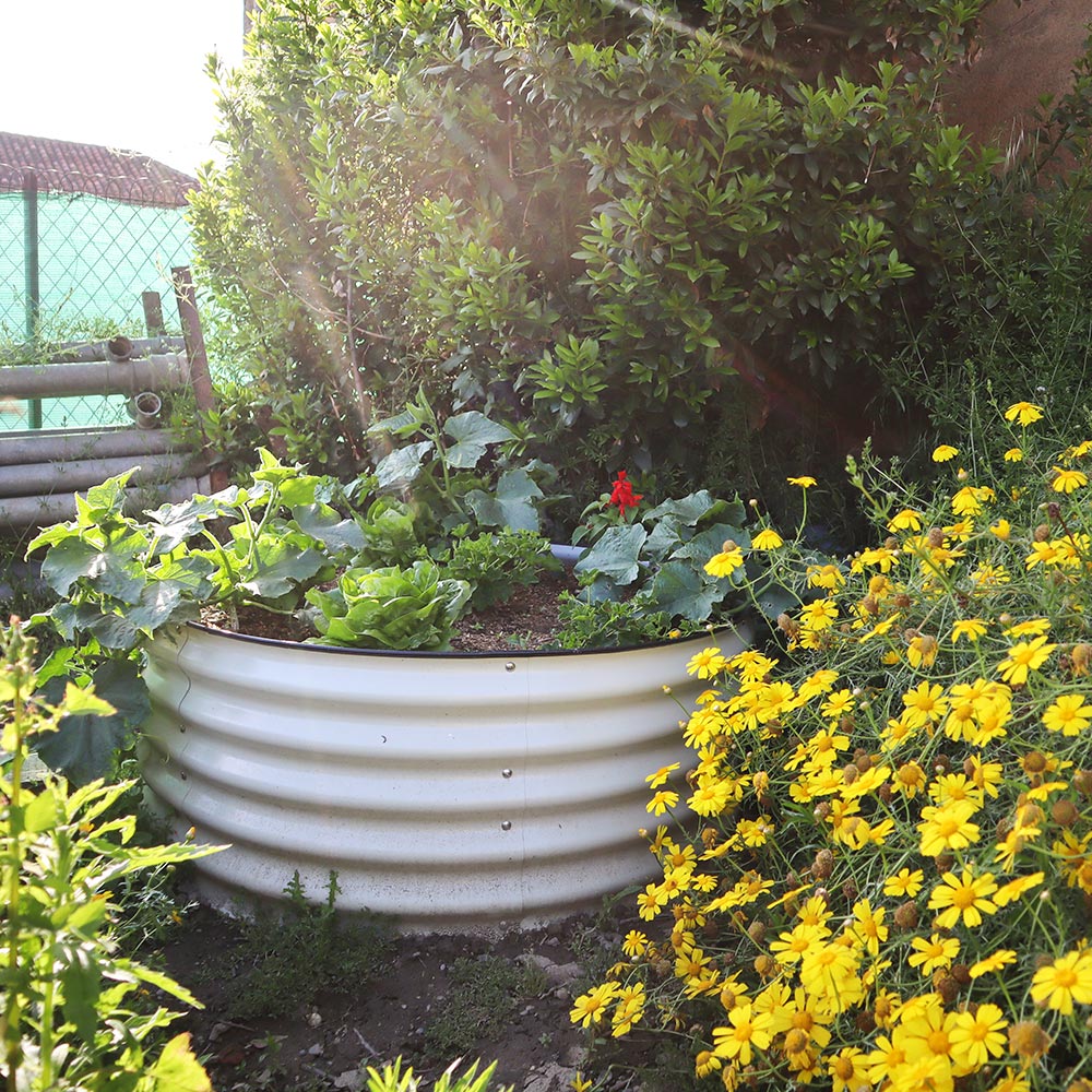 17'' Tall 42'' Round Metal Raised Garden Beds