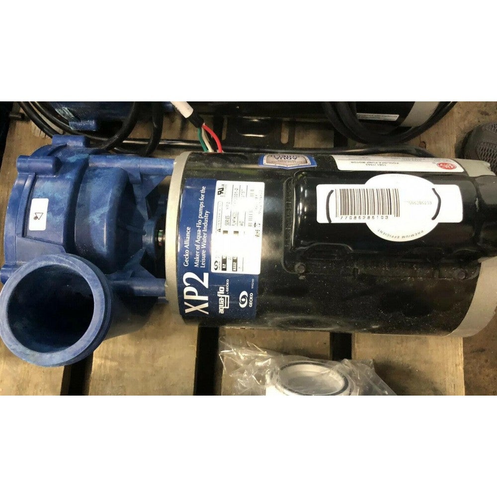 Gecko Alliance Aqua Pro XP2 Spa Pump 3hp 230v 2 Spd 07830001-2