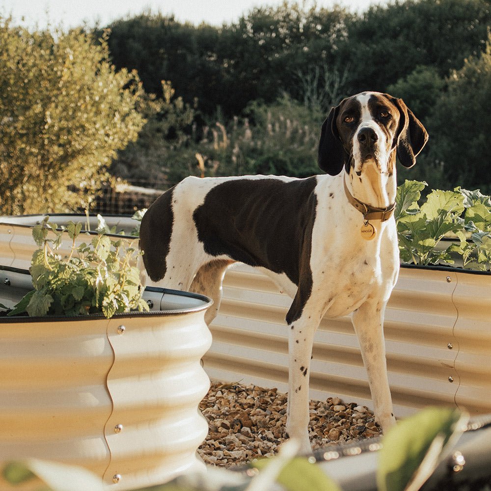 17'' Tall 8'x2' Metal Raised Garden Beds (9 in 1)