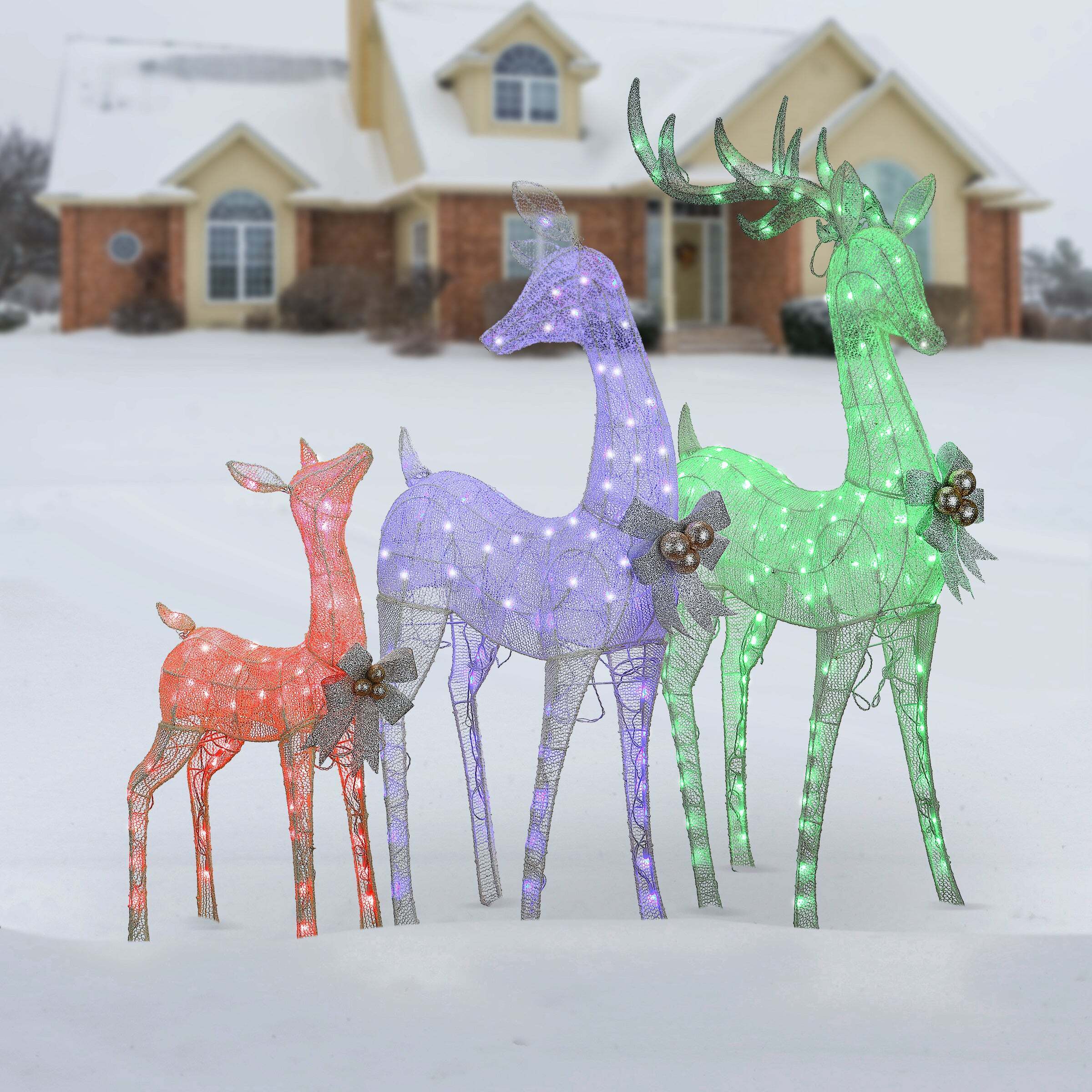 Deer Family Assortment