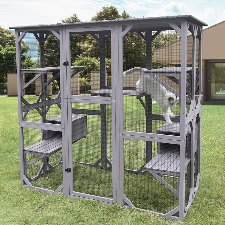 DeKalb Catio Outdoor Playpen with Door
