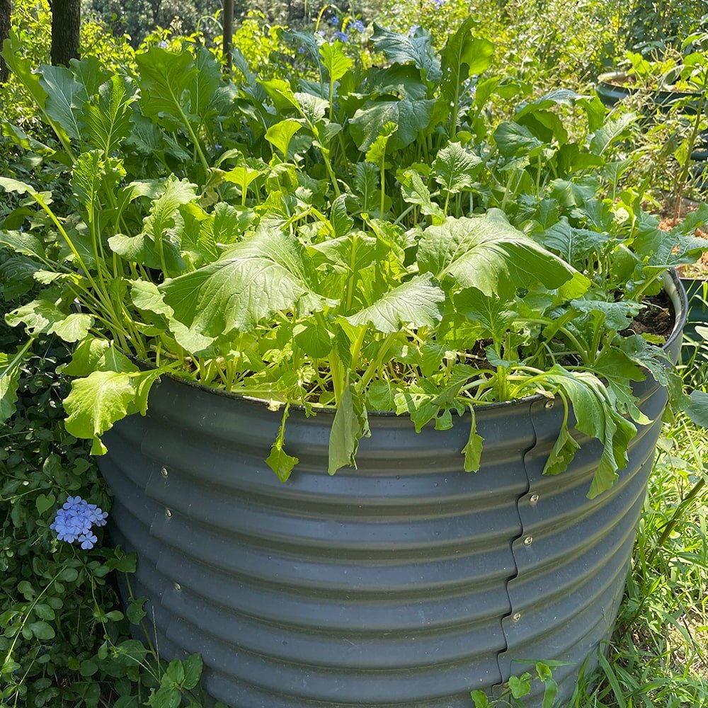 32'' Tall 42'' Round Metal Raised Garden Beds